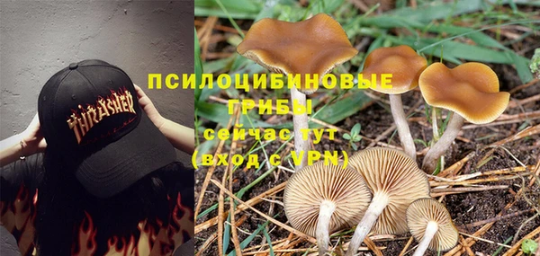 a pvp Верея