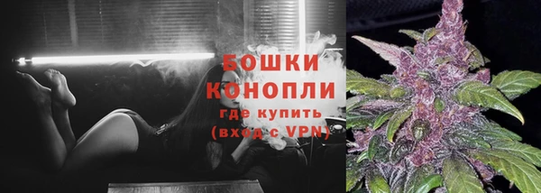 прущие грибы Верхний Тагил