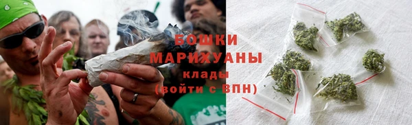 прущие грибы Верхний Тагил