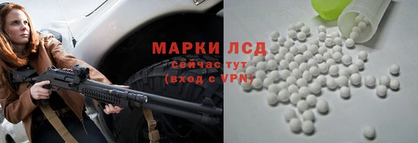 прущие грибы Верхний Тагил