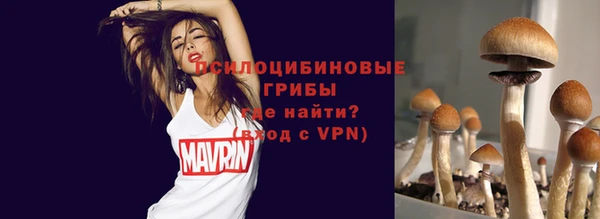 прущие грибы Верхний Тагил