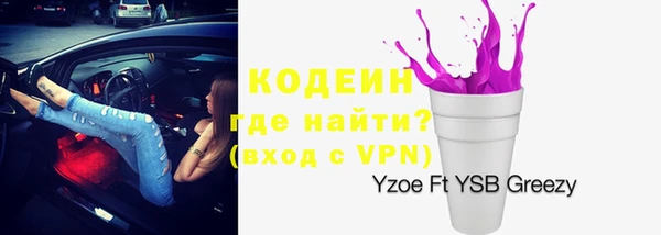 прущие грибы Верхний Тагил