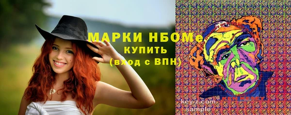 прущие грибы Верхний Тагил