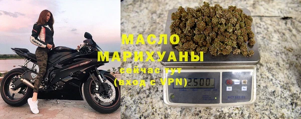 прущие грибы Верхний Тагил