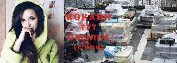 прущие грибы Верхний Тагил