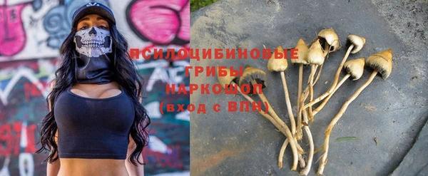 a pvp Верея