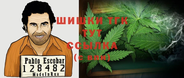 mix Нестеровская