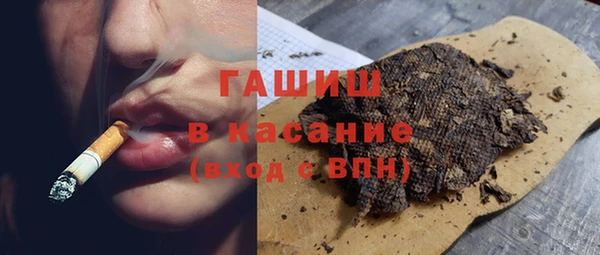 прущие грибы Верхний Тагил