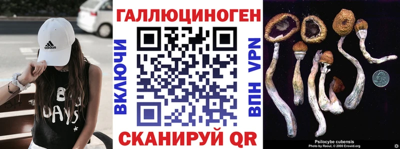 Псилоцибиновые грибы Psilocybine cubensis  где продают наркотики  Весьегонск 